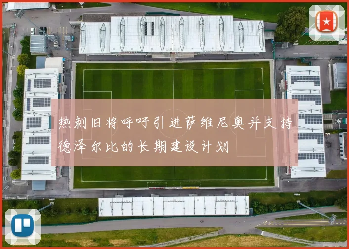 热刺旧将呼吁引进萨维尼奥并支持德泽尔比的长期建设计划