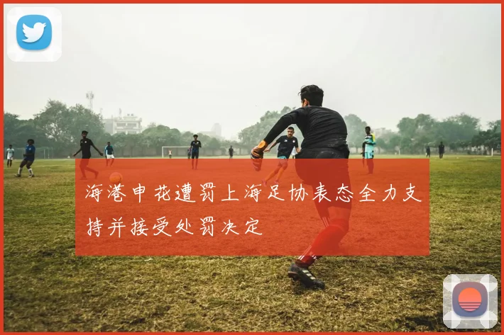 海港申花遭罚上海足协表态全力支持并接受处罚决定